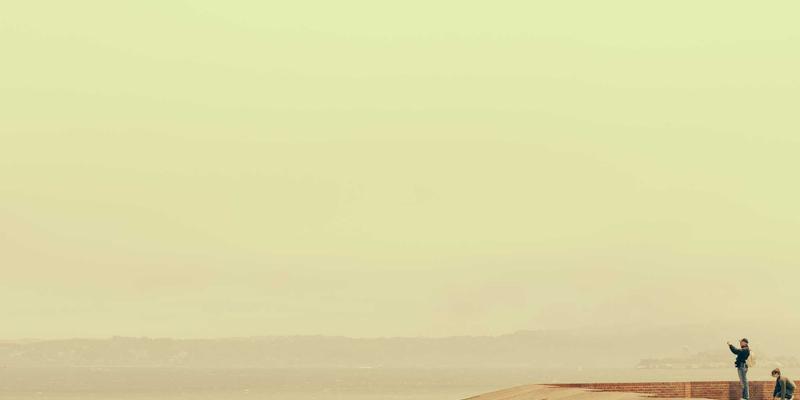 知识管理